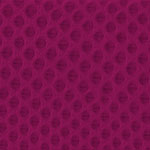 Fuschia